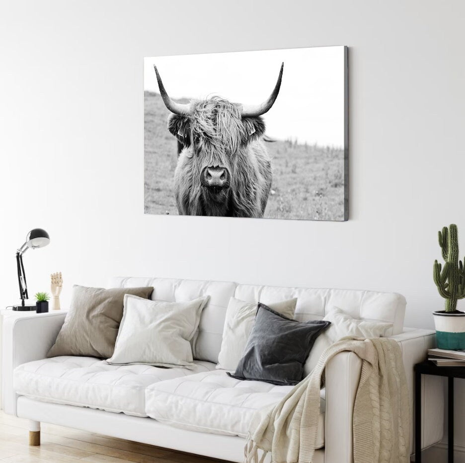 Black and white highland bison framed Canvas Print, Contemporary Wall Decor,Abstract Wall Art, Animals Wall Art