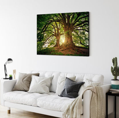 Trees in the forest canvas wall art Big oak trees canvas Large tree wall art nature print Tree Branch wall art Old tree wall art