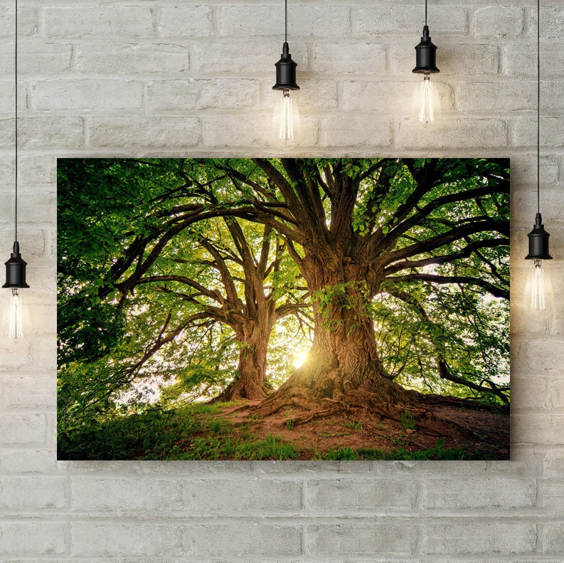 Trees in the forest canvas wall art Big oak trees canvas Large tree wall art nature print Tree Branch wall art Old tree wall art