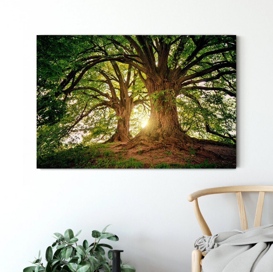 Trees in the forest canvas wall art Big oak trees canvas Large tree wall art nature print Tree Branch wall art Old tree wall art