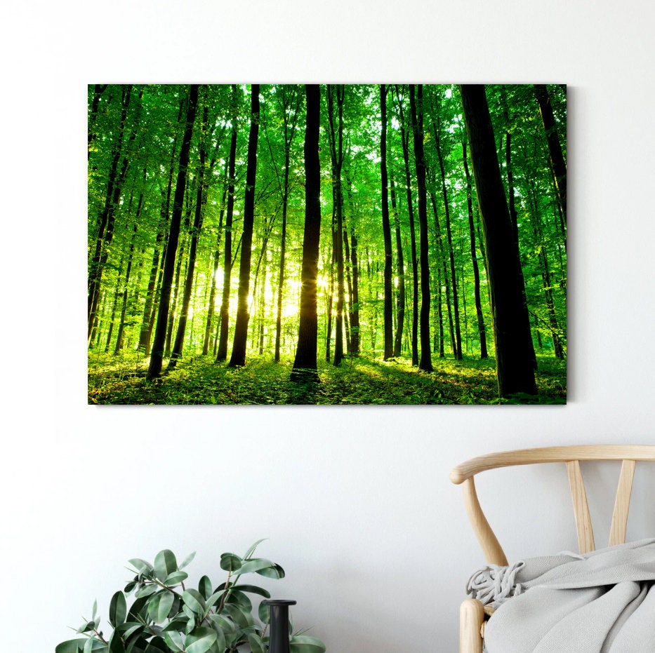 Forest Wall Art Canvas beautiful green forest Canvas Print Multiple Sizes Wrapped Canvas on Wooden Frame