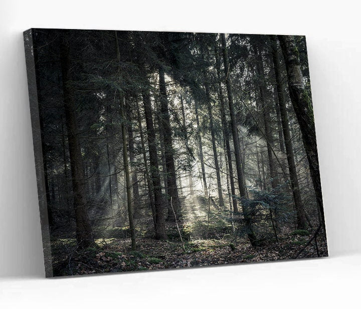 Forest landscape tree wall art Forest WALL ART, foggy Canvas,Home Decor,Large Art Print evergreen Modern Wall Decor