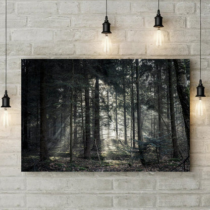 Forest landscape tree wall art Forest WALL ART, foggy Canvas,Home Decor,Large Art Print evergreen Modern Wall Decor