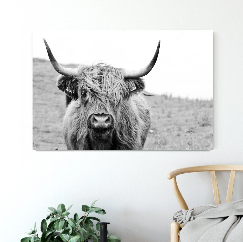 Black and white highland bison framed Canvas Print, Contemporary Wall Decor,Abstract Wall Art, Animals Wall Art