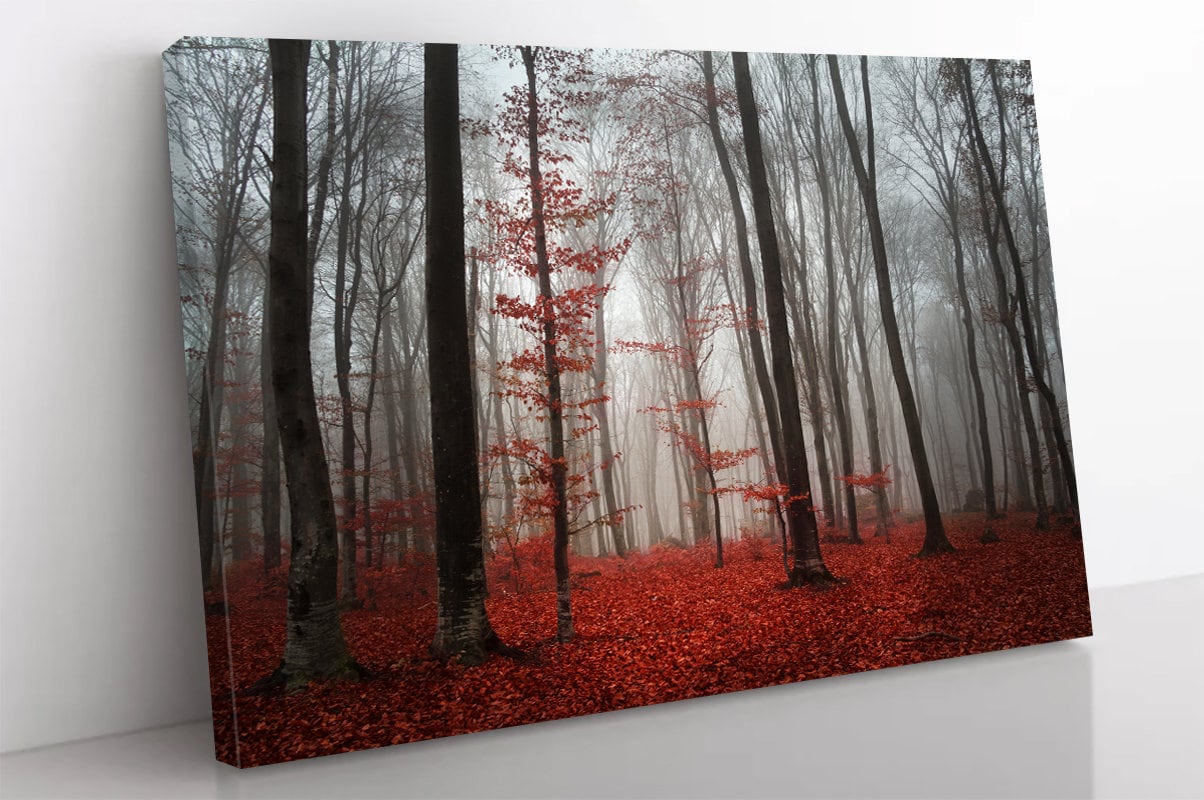 Red Foggy Forest Trees wall art Canvas Print wall art Autumn landscape Tree art leaves wall decor Autumn forest for living room wall decor