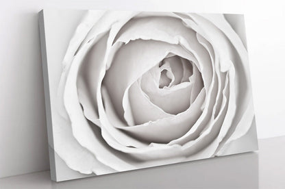 close up of white rose petals Art,White Roses,Flowers Canvas Print, Roses Canvas Wall Decor, Abstract Flowers Interior Art