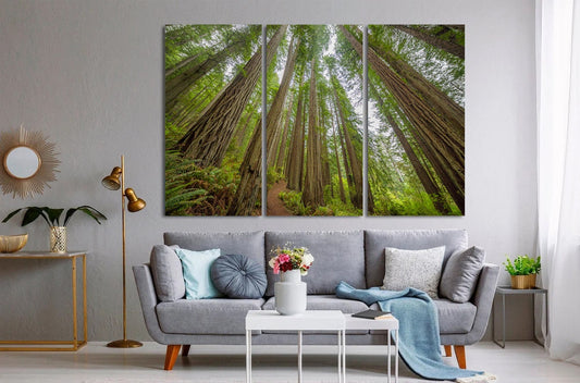 Redwoods State Park Canvas wall art Print Forest landscape art nature print Multiple Sizes Wrapped Canvas on Wooden Frame