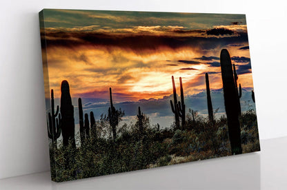 Sonoran Desert Sunset Canvas Landscape Art wall decor Arizona Sunset Canvas Print Wall Art Canvas Multiple Size scenic Silhouette wall decor