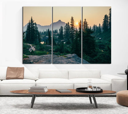 Forest Wall Art Nature Art Print beautiful sunset mount Print Pine Tree Wall Art Nature Wall Art Cedars Trees Wall Art Canvas wall decor