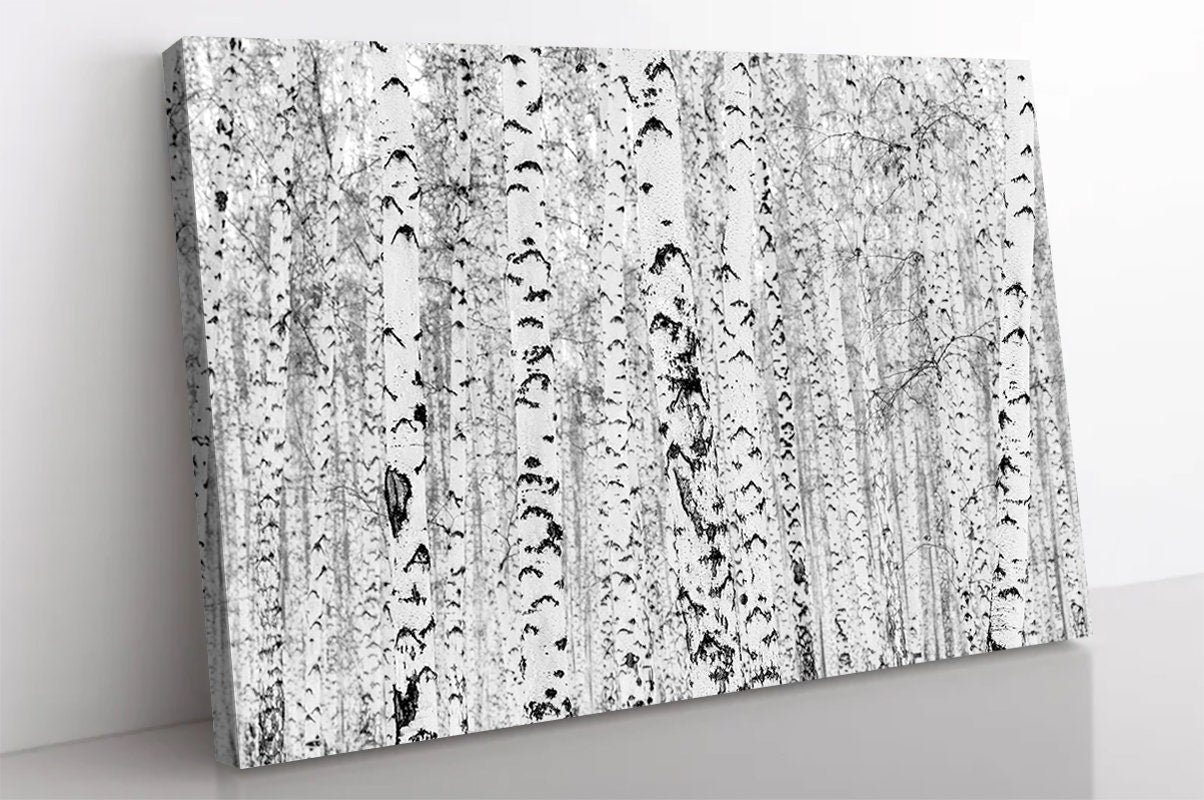 Birch Forest Poster,Forest Canvas Wall Art,Forest Black and White Landscape Print Art,Extra Large Canvas Wall and Home Decor,Modern Wall Art