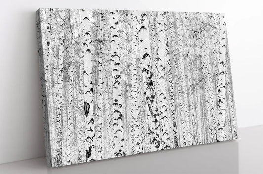 Birch Forest Poster,Forest Canvas Wall Art,Forest Black and White Landscape Print Art,Extra Large Canvas Wall and Home Decor,Modern Wall Art