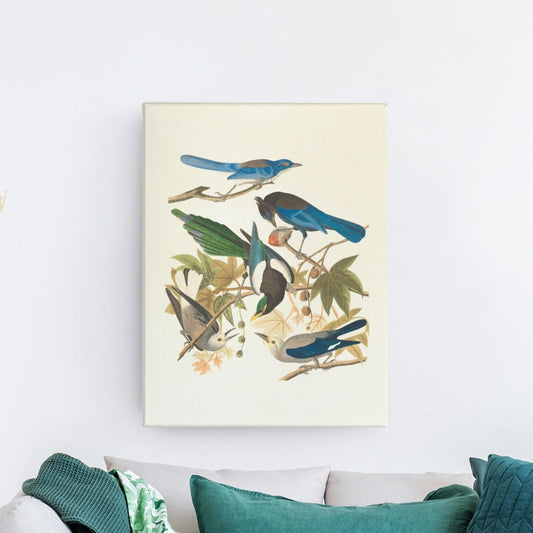 Antique Bird illustration Wall Art, Vintage Art Print, canvas print over wood frame, bedroom, office, living room wall decoration