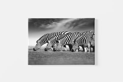 black and white zebra photo canvas print, horizontal living room hallway entry way decor, home wall decoration, canvas over wooden frame